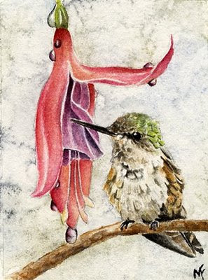 hummingbird watercolour painting