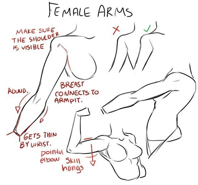 Featured image of post How To Draw Muscular Female Arms Drawing powerful female arms for your superheroines requires a careful balance of precisely placed line work and details