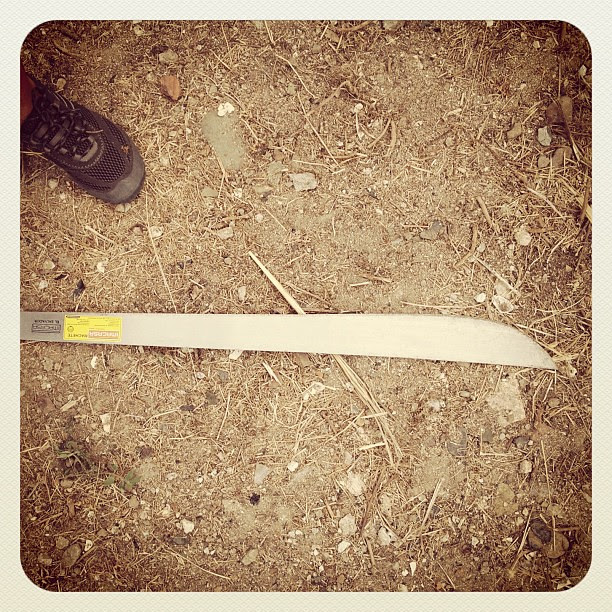 Thought I'd share I just used a machete. #panamá #communitygarden