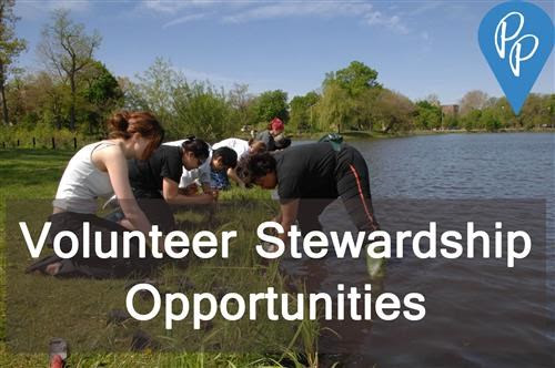 Page_25_Volunteer_-_Volunteer_Stewardship_Workday_at_Washington_Park_2