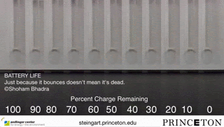 Test battery easily by dropping it few inches from the ground. A fully charged battery bounces very little, whereas a dead battery bounces around.