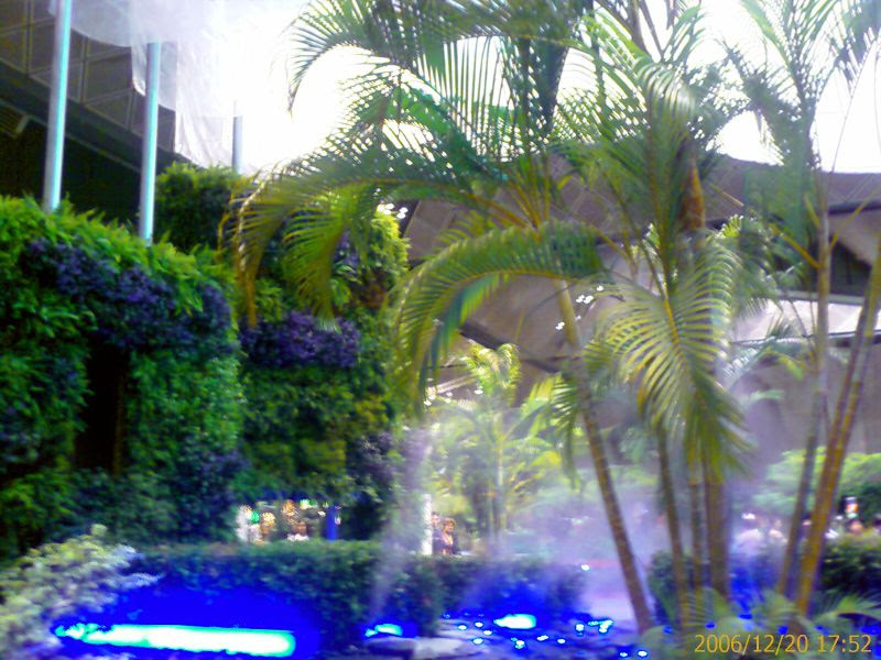 200612201752_01058