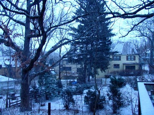Image-49EF2ED0568B11D9