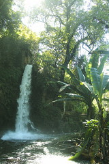 Eduardo Ruiz National Park, Uruapan