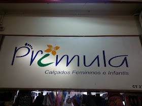 Primula