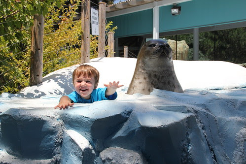 Olsen with a sea lion