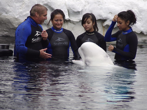 white beluga whale with pentax k-x white and tamron 70-300mm f/4.0-5.6