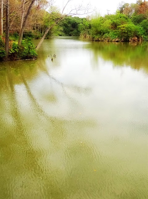 新化國家植物園/無限台南