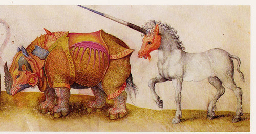 rhinoceros and unicorn