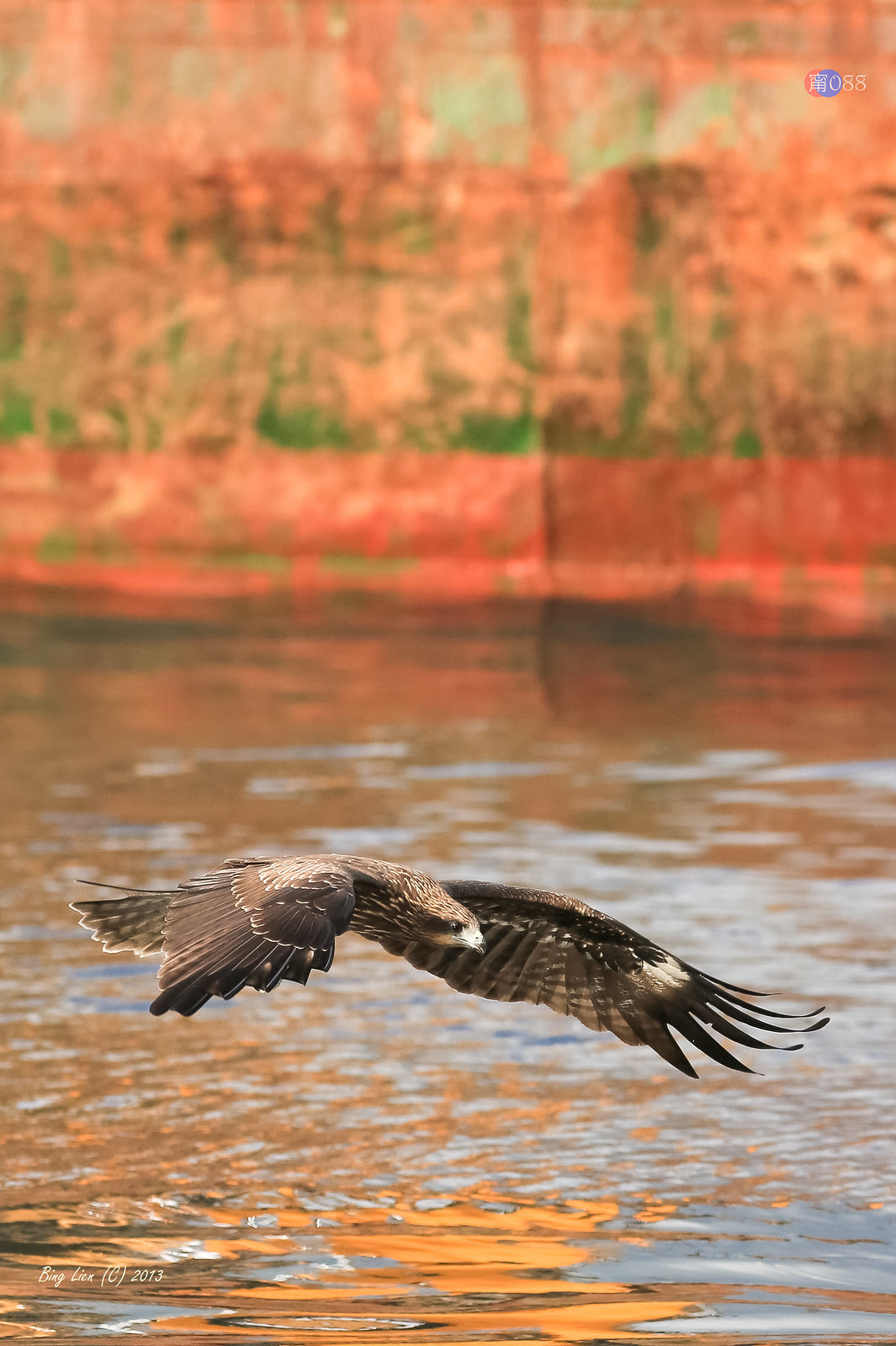 WATER_BING6901_LR