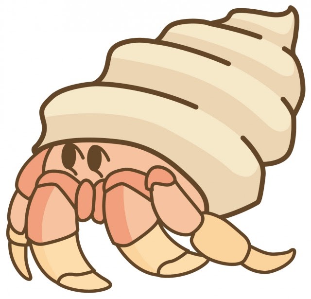 50 ヤドカリ イラスト イラスト画像