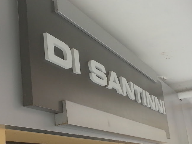disantinni.com.br