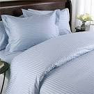 Light Blue Damask Stripe 4 Piece Duvet Comforter Set