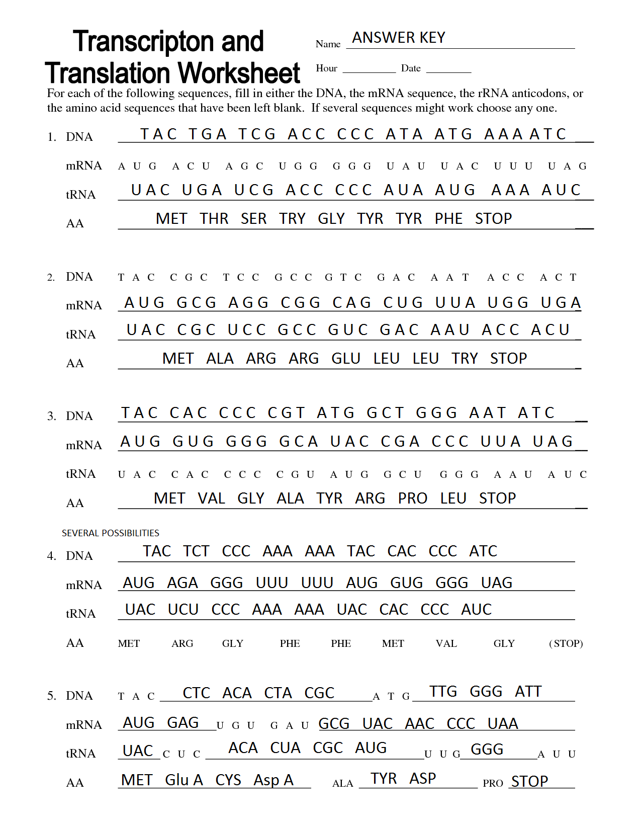 Transcription And Translation Worksheet Key With Transcription And Translation Practice Worksheet