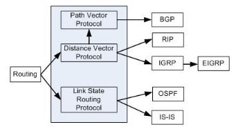 تعرف على بروتوكولات التوجيه 'Routing Protocols' و مهامها