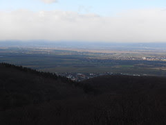 P1220038