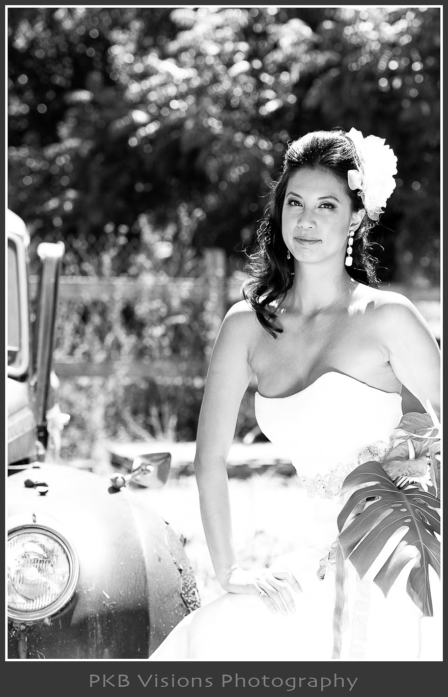 tiffa_braz_wedding_17.jpg