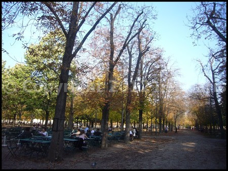 P3320081