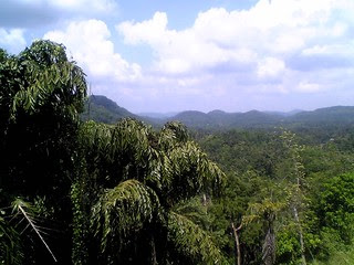 View from Colombo Kandy train in Sri Lanka. View from Colombo Kandy train in Sri Lanka.