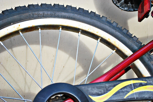untitled bicycle 5