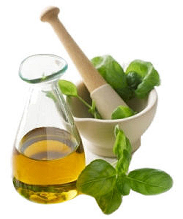 Oil of Oregano Health Benefits Oil of Oregano Health Benefits