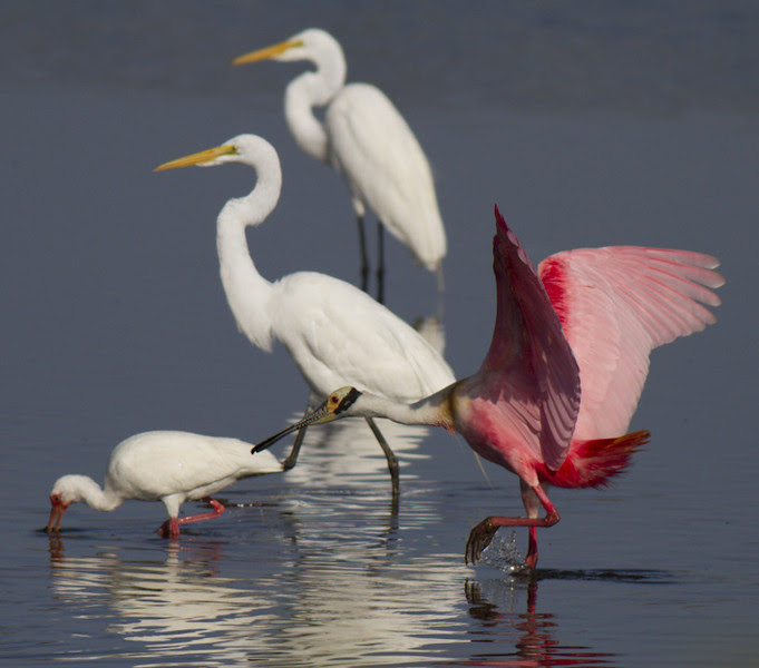 Photo & Video Sharing by SmugMug Photo & Video Sharing by SmugMug