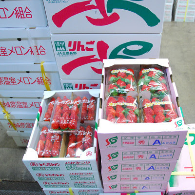 80DSC_8896.jpg