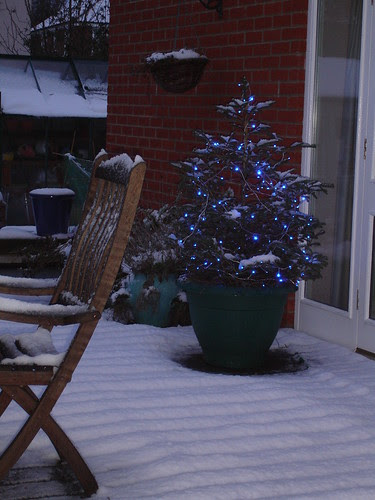 December snowfall 2009 001