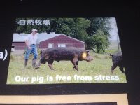 Free Image Hosting at www.ImageShack.us