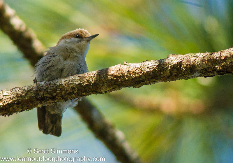 Photo & Video Sharing by SmugMug Photo & Video Sharing by SmugMug
