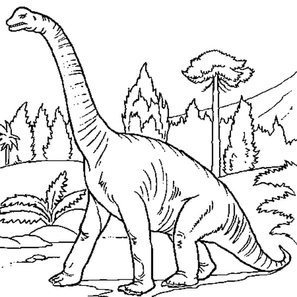 Coloriage204 coloriage dinosaure gratuit