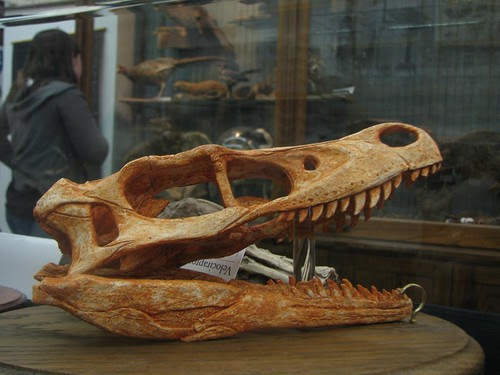 City Museum Velociraptor