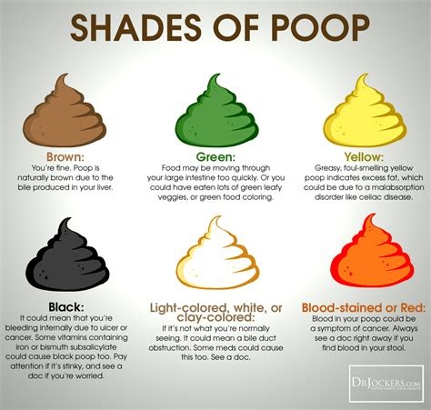 Color Of Poop
