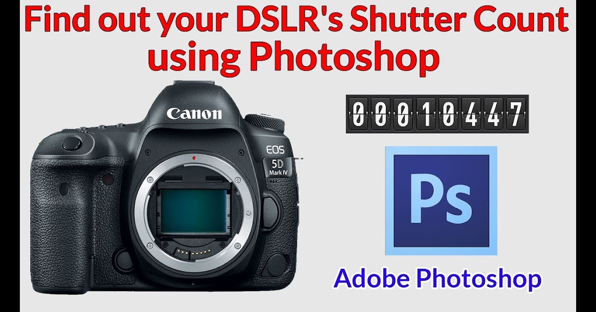 free money for needy: How to Check a DSLR's Shutter Count using Photoshop.  Works for Nikon, Canon, Pentax, Samsung etc.
