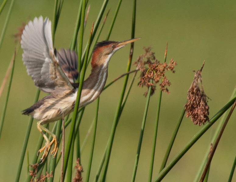 Photo & Video Sharing by SmugMug Photo & Video Sharing by SmugMug