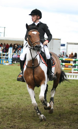 Showjumping