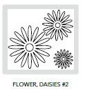 fl_daisies_2