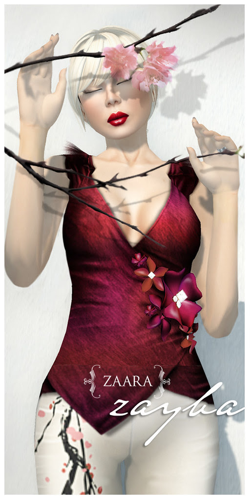 Zaara : zayba cross top ad