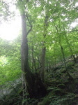 2270.jpg