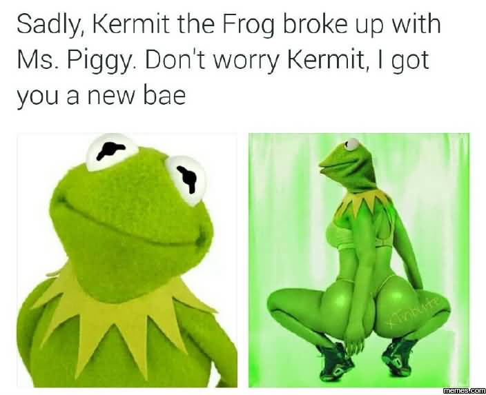 Download Meme Frog Wallpaper Png Gif Base . " kermit the frog drinking...