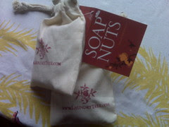 Trying out the soap nuts in my laundry
