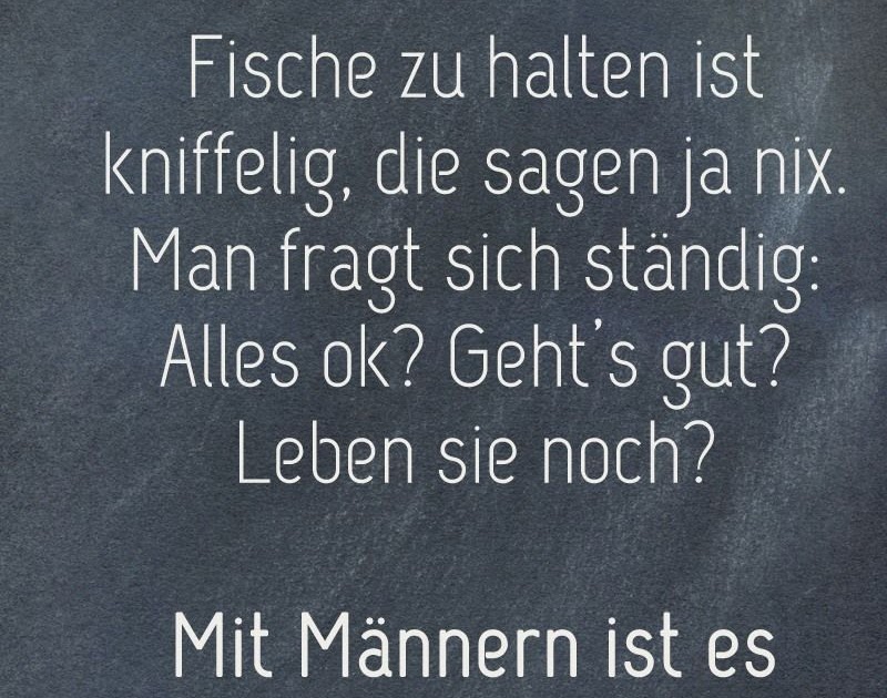 Freche Sprüche Gegen Männer DE Sprueche