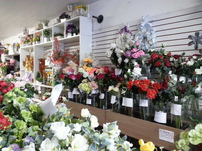 Avaliações sobre Casa da Moeda em Natal - Floricultura