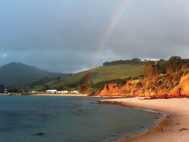 Comments and reviews of The Heads Hokianga