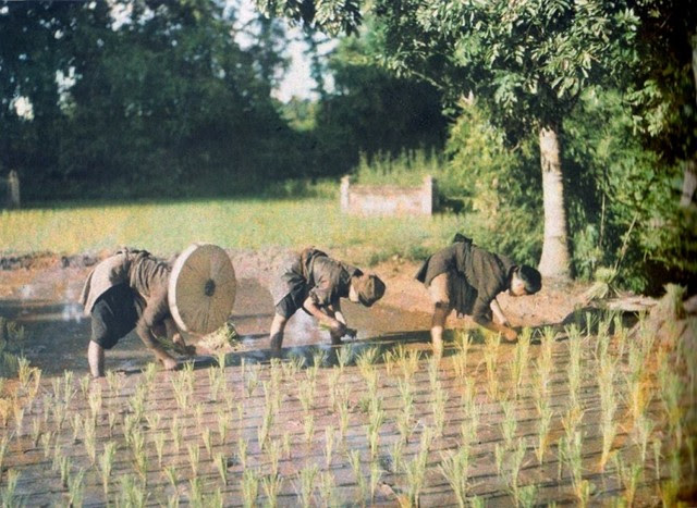 Hình ảnh Việt Nam 100 năm trước Hình ảnh Việt Nam 100 năm trước