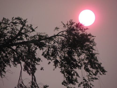June 8th--Sunset