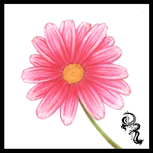 Featured image of post Flower Easy Colour Pencil Drawing : Draw with your pencils on watercolor paper or.