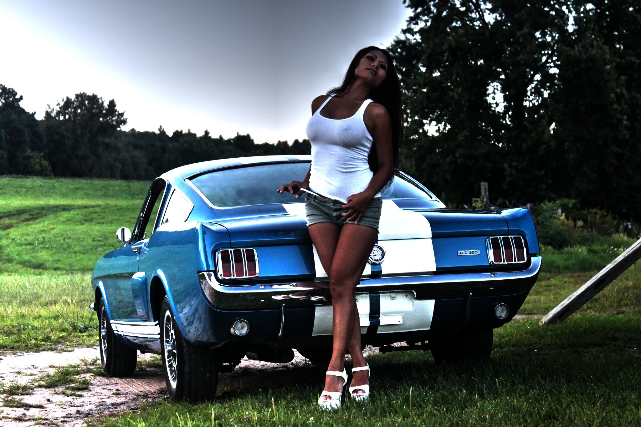 Stang Beauties Compilation Mustang Shelby Gt350 1966 And Girls 5866