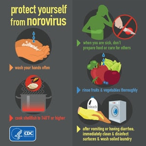 Protect Yourself and Others from Norovirus.