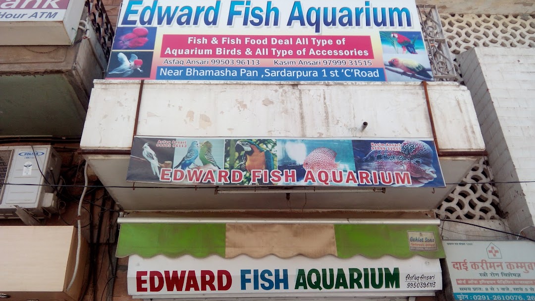 Edward Fish Aquarium
